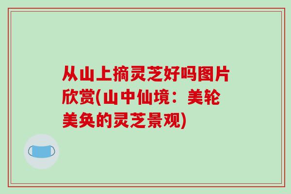 从山上摘灵芝好吗图片欣赏(山中仙境：美轮美奂的灵芝景观)