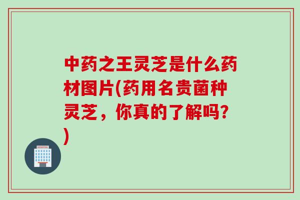 中药之王灵芝是什么药材图片(药用名贵菌种灵芝，你真的了解吗？)