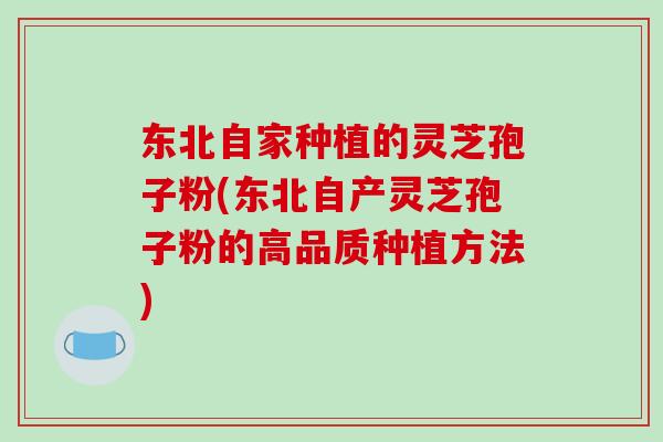 东北自家种植的灵芝孢子粉(东北自产灵芝孢子粉的高品质种植方法)