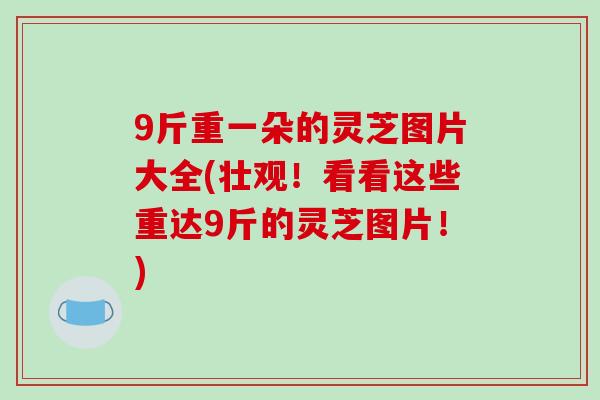 9斤重一朵的灵芝图片大全(壮观！看看这些重达9斤的灵芝图片！)