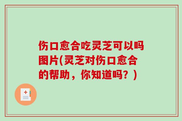 伤口愈合吃灵芝可以吗图片(灵芝对伤口愈合的帮助，你知道吗？)