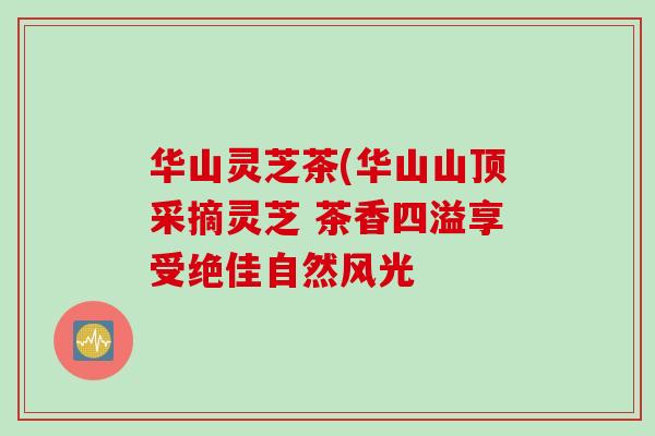 华山灵芝茶(华山山顶采摘灵芝 茶香四溢享受绝佳自然风光
