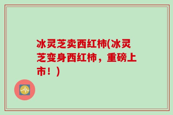冰灵芝卖西红柿(冰灵芝变身西红柿，重磅上市！)