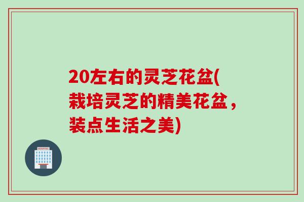 20左右的灵芝花盆(栽培灵芝的精美花盆，装点生活之美)