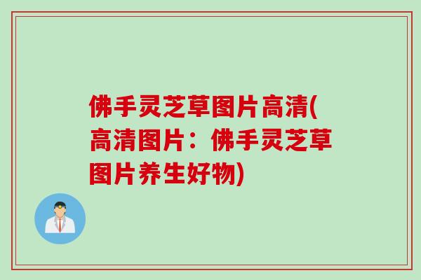 佛手灵芝草图片高清(高清图片：佛手灵芝草图片养生好物)