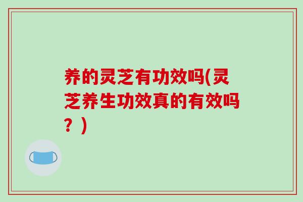养的灵芝有功效吗(灵芝养生功效真的有效吗？)