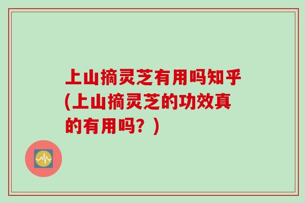 上山摘灵芝有用吗知乎(上山摘灵芝的功效真的有用吗？)