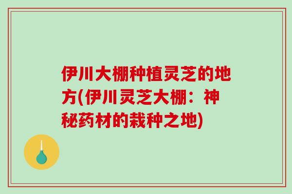 伊川大棚种植灵芝的地方(伊川灵芝大棚：神秘药材的栽种之地)