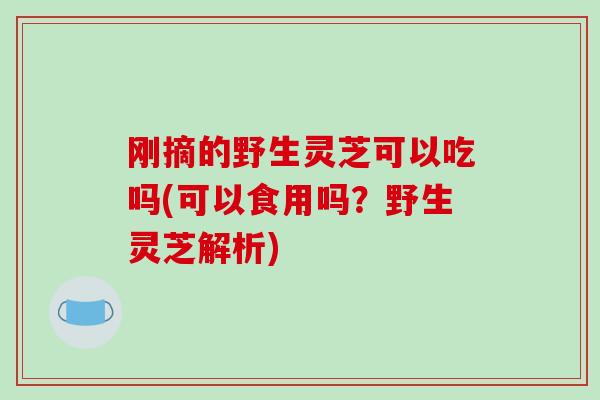 刚摘的野生灵芝可以吃吗(可以食用吗？野生灵芝解析)
