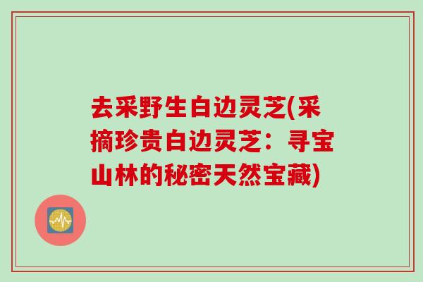 去采野生白边灵芝(采摘珍贵白边灵芝：寻宝山林的秘密天然宝藏)