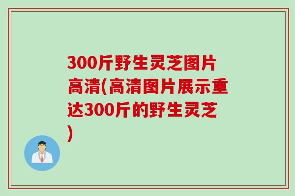 300斤野生灵芝图片高清(高清图片展示重达300斤的野生灵芝)