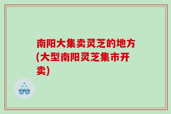 南阳大集卖灵芝的地方(大型南阳灵芝集市开卖)