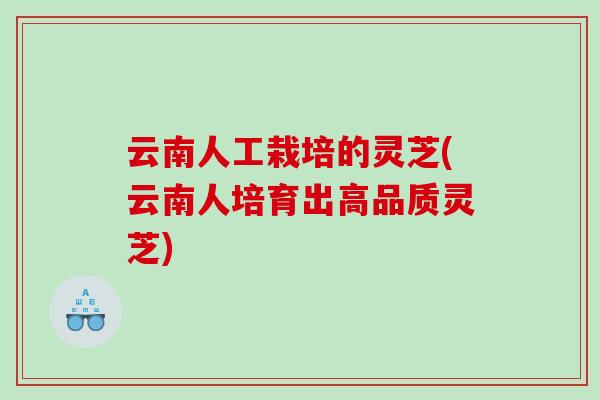 云南人工栽培的灵芝(云南人培育出高品质灵芝)