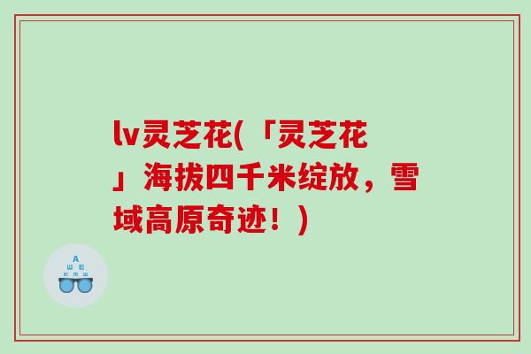 lv灵芝花(「灵芝花」海拔四千米绽放，雪域高原奇迹！)