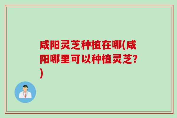 咸阳灵芝种植在哪(咸阳哪里可以种植灵芝？)