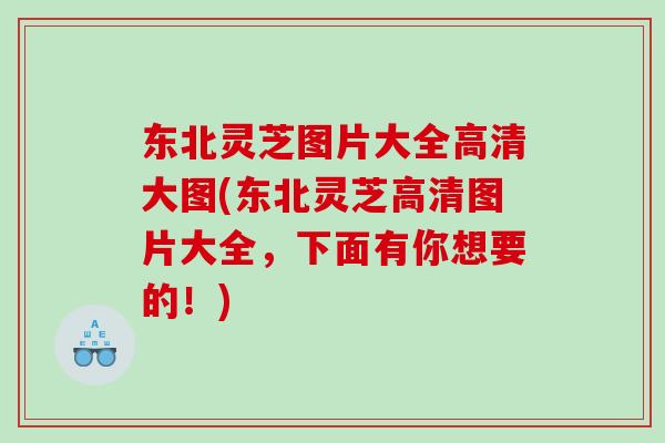 东北灵芝图片大全高清大图(东北灵芝高清图片大全，下面有你想要的！)