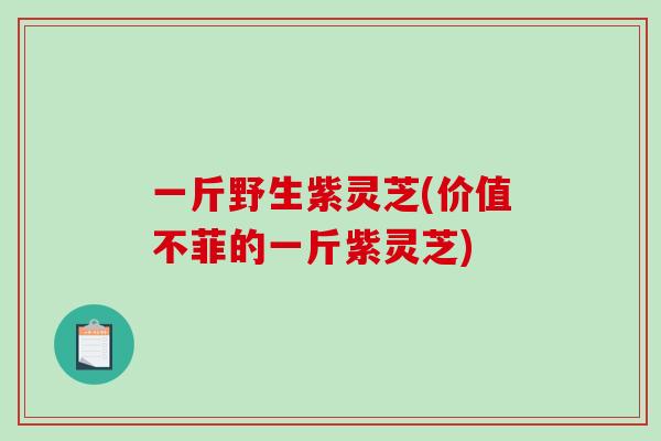 一斤野生紫灵芝(价值不菲的一斤紫灵芝)