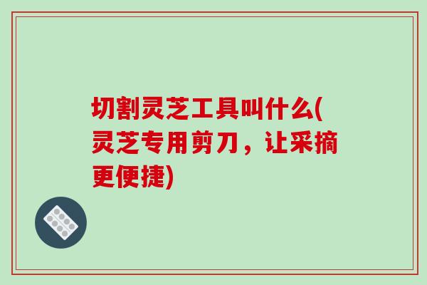 切割灵芝工具叫什么(灵芝专用剪刀，让采摘更便捷)