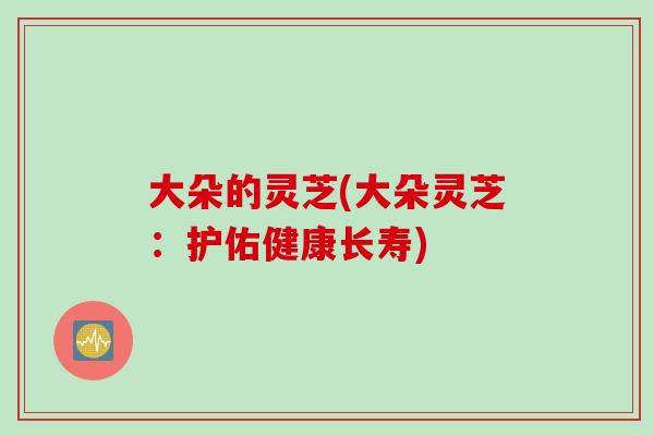 大朵的灵芝(大朵灵芝：护佑健康长寿)