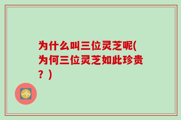 为什么叫三位灵芝呢(为何三位灵芝如此珍贵？)