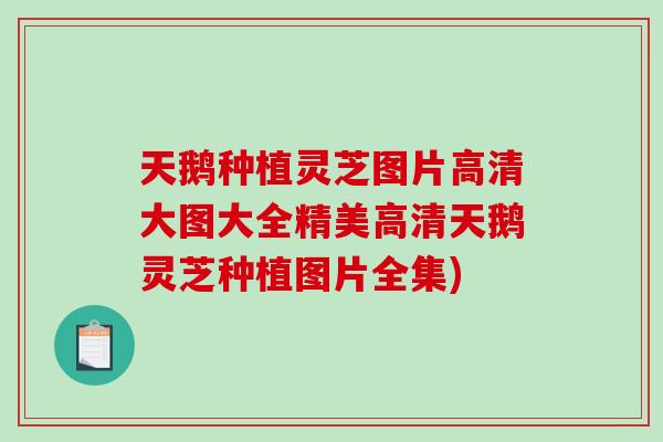 天鹅种植灵芝图片高清大图大全精美高清天鹅灵芝种植图片全集)