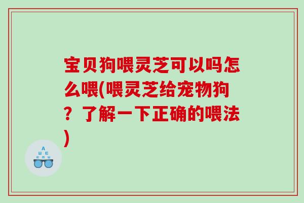 宝贝狗喂灵芝可以吗怎么喂(喂灵芝给宠物狗？了解一下正确的喂法)