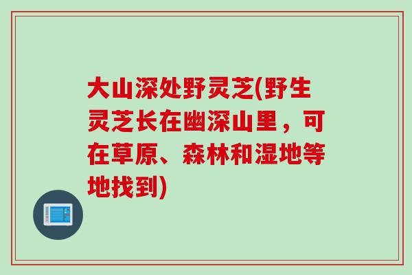 大山深处野灵芝(野生灵芝长在幽深山里，可在草原、森林和湿地等地找到)
