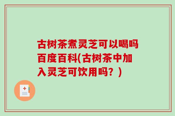 古树茶煮灵芝可以喝吗百度百科(古树茶中加入灵芝可饮用吗？)