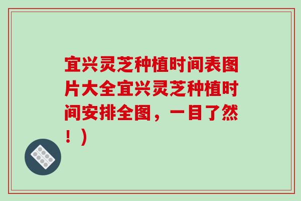 宜兴灵芝种植时间表图片大全宜兴灵芝种植时间安排全图，一目了然！)