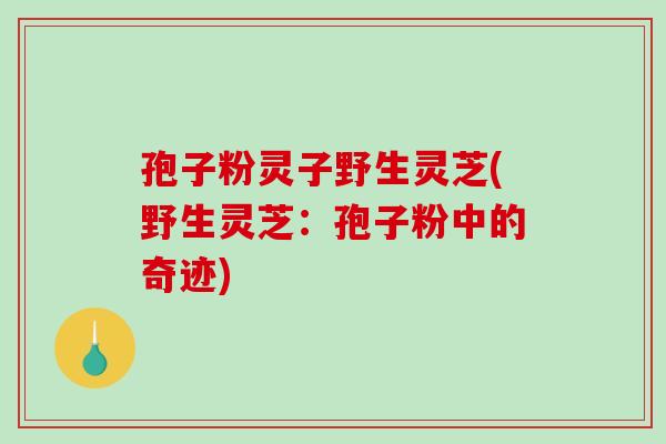 孢子粉灵子野生灵芝(野生灵芝：孢子粉中的奇迹)