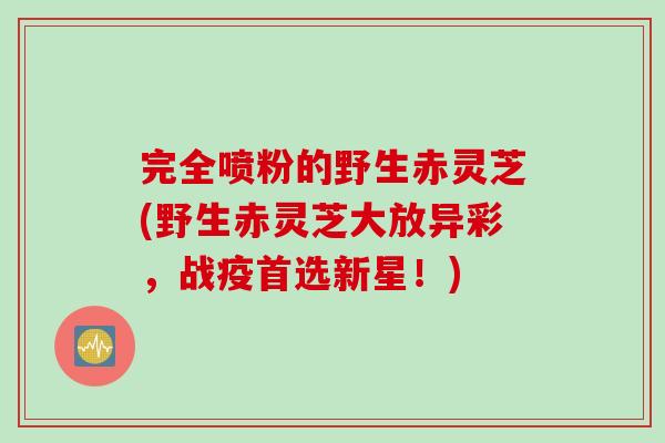 完全喷粉的野生赤灵芝(野生赤灵芝大放异彩,战疫首选新星!) 完全喷粉的野生赤灵芝(野生赤灵芝大放异彩,战疫首选新星!)