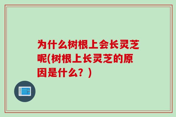为什么树根上会长灵芝呢(树根上长灵芝的原因是什么？)