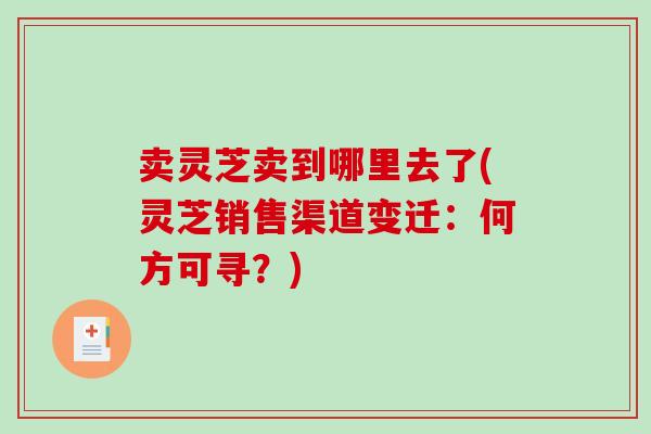 卖灵芝卖到哪里去了(灵芝销售渠道变迁：何方可寻？)