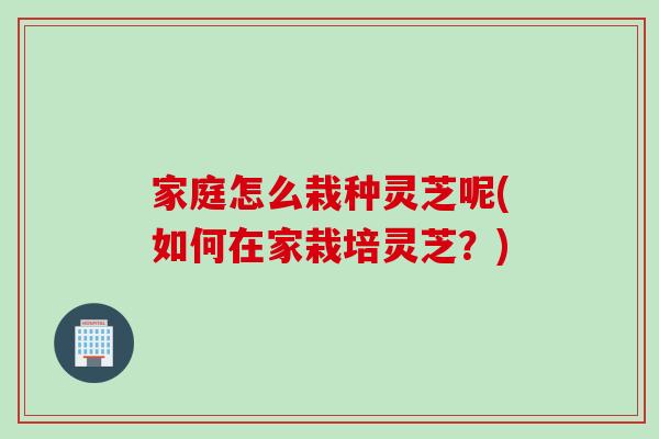 家庭怎么栽种灵芝呢(如何在家栽培灵芝？)