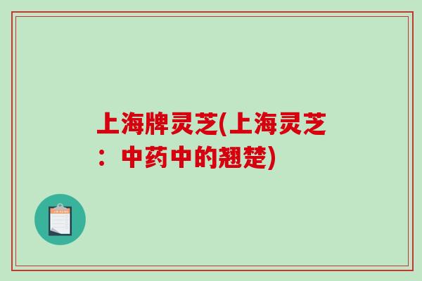 上海牌灵芝(上海灵芝：中药中的翘楚)