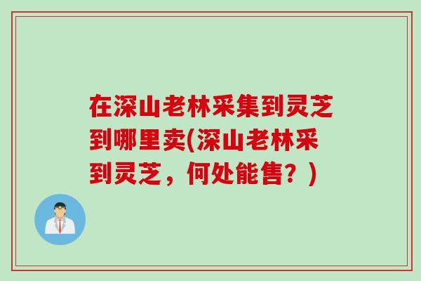 在深山老林采集到灵芝到哪里卖(深山老林采到灵芝，何处能售？)