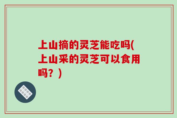 上山摘的灵芝能吃吗(上山采的灵芝可以食用吗？)