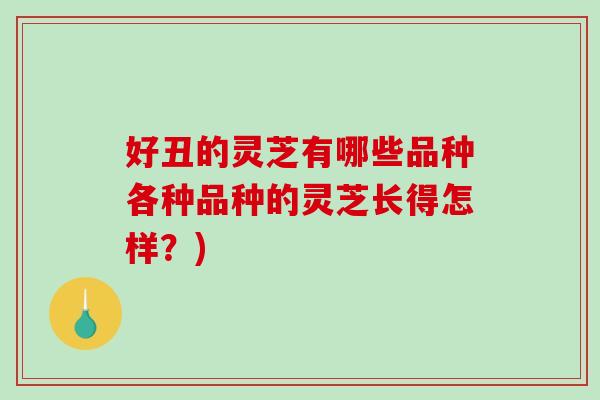好丑的灵芝有哪些品种各种品种的灵芝长得怎样？)