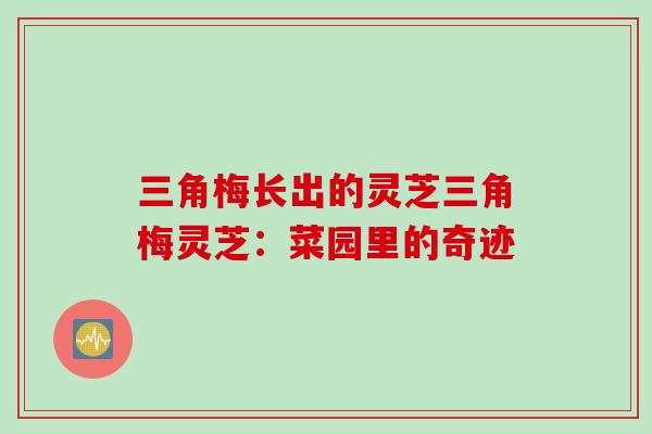 三角梅长出的灵芝三角梅灵芝：菜园里的奇迹