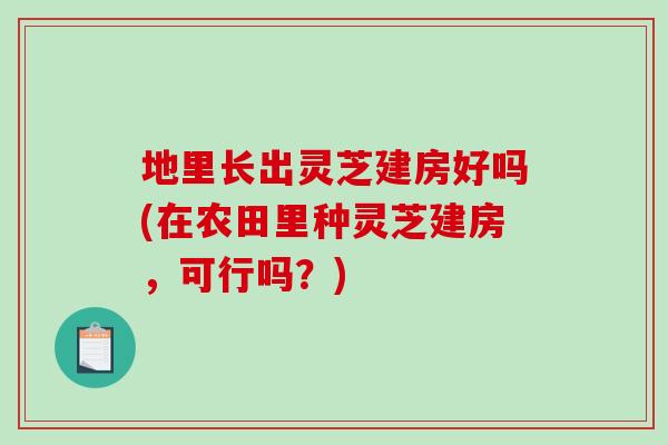 地里长出灵芝建房好吗(在农田里种灵芝建房，可行吗？)