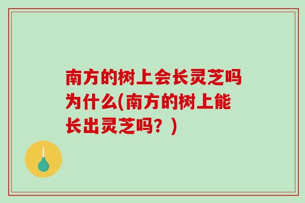 南方的树上会长灵芝吗为什么(南方的树上能长出灵芝吗？)