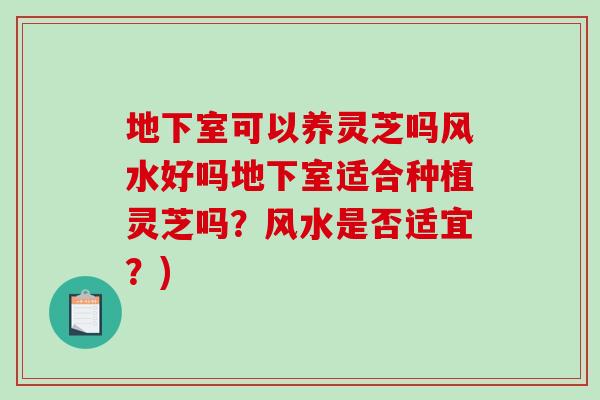 地下室可以养灵芝吗风水好吗地下室适合种植灵芝吗？风水是否适宜？)