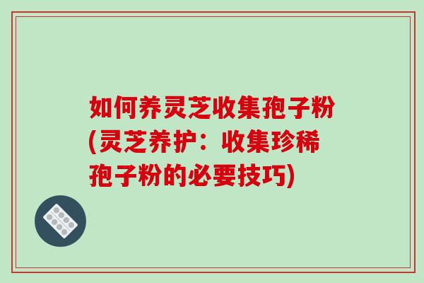 如何养灵芝收集孢子粉(灵芝养护：收集珍稀孢子粉的必要技巧)