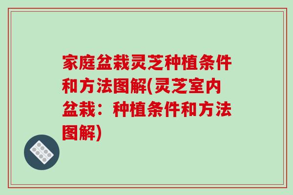 家庭盆栽灵芝种植条件和方法图解(灵芝室内盆栽：种植条件和方法图解)