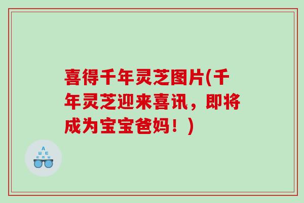 喜得千年灵芝图片(千年灵芝迎来喜讯，即将成为宝宝爸妈！)