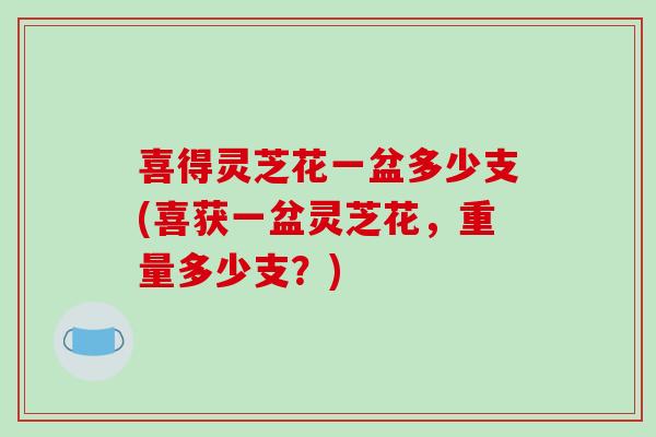 喜得灵芝花一盆多少支(喜获一盆灵芝花，重量多少支？)