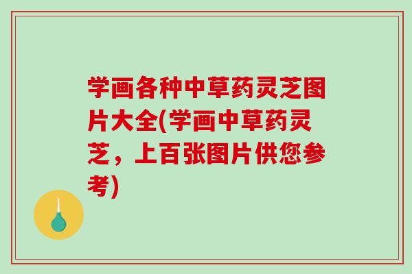 学画各种中草药灵芝图片大全(学画中草药灵芝，上百张图片供您参考)