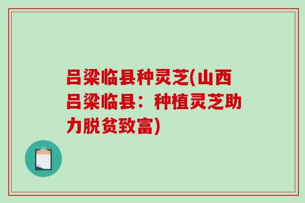 吕梁临县种灵芝(山西吕梁临县：种植灵芝助力脱贫致富)