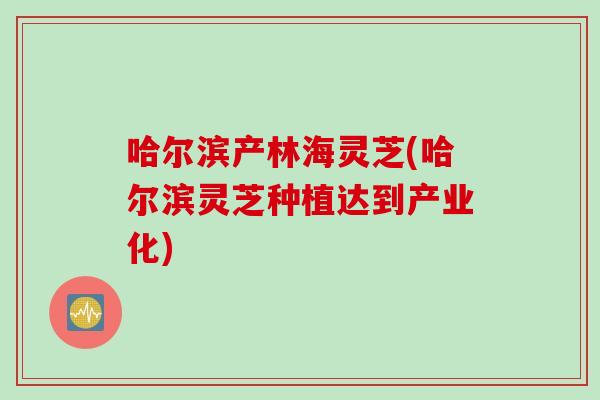 哈尔滨产林海灵芝(哈尔滨灵芝种植达到产业化)