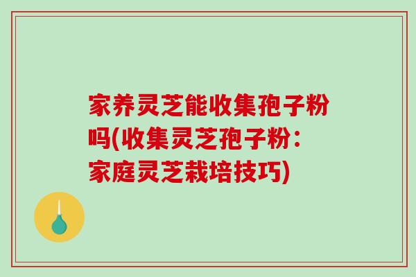 家养灵芝能收集孢子粉吗(收集灵芝孢子粉：家庭灵芝栽培技巧)